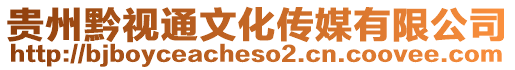貴州黔視通文化傳媒有限公司