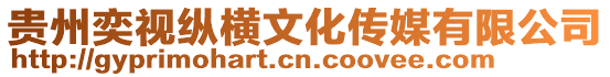 貴州奕視縱橫文化傳媒有限公司