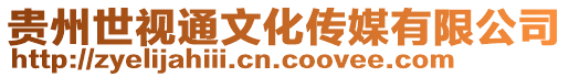 貴州世視通文化傳媒有限公司