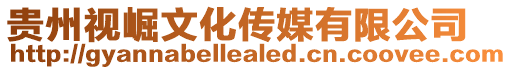 貴州視崛文化傳媒有限公司