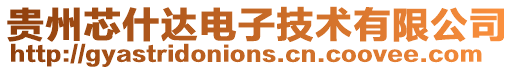 貴州芯什達電子技術有限公司