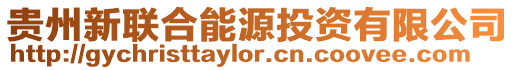 貴州新聯合能源投資有限公司