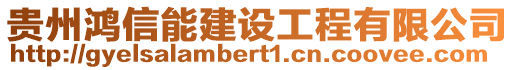 貴州鴻信能建設工程有限公司