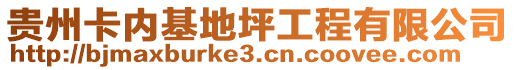 貴州卡內(nèi)基地坪工程有限公司