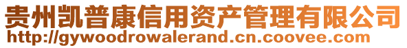 貴州凱普康信用資產管理有限公司