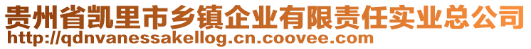 貴州省凱里市鄉(xiāng)鎮(zhèn)企業(yè)有限責(zé)任實(shí)業(yè)總公司