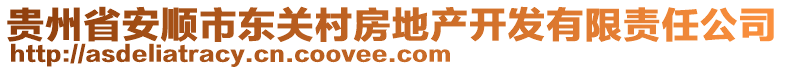 貴州省安順市東關(guān)村房地產(chǎn)開發(fā)有限責(zé)任公司