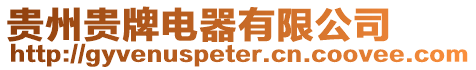 貴州貴牌電器有限公司