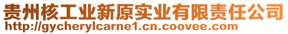 貴州核工業(yè)新原實業(yè)有限責任公司