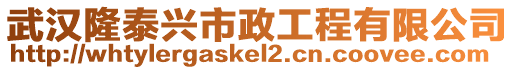 武漢隆泰興市政工程有限公司