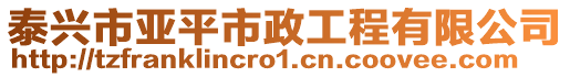 泰興市亞平市政工程有限公司