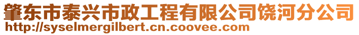 肇東市泰興市政工程有限公司饒河分公司