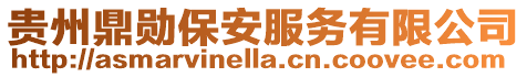 貴州鼎勛保安服務(wù)有限公司