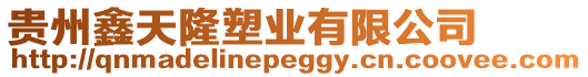 貴州鑫天隆塑業有限公司