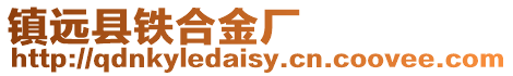鎮遠縣鐵合金廠