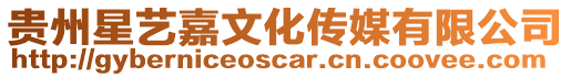 貴州星藝嘉文化傳媒有限公司