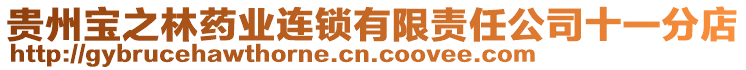 貴州寶之林藥業連鎖有限責任公司十一分店