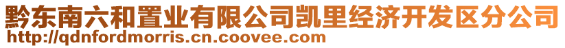 黔東南六和置業有限公司凱里經濟開發區分公司