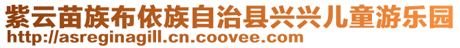 紫云苗族布依族自治縣興興兒童游樂(lè)園
