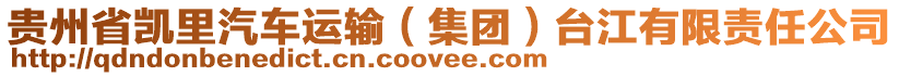 貴州省凱里汽車運(yùn)輸（集團(tuán)）臺江有限責(zé)任公司