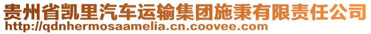 貴州省凱里汽車運(yùn)輸集團(tuán)施秉有限責(zé)任公司