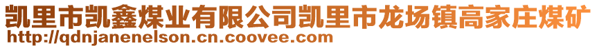 凱里市凱鑫煤業(yè)有限公司凱里市龍場鎮(zhèn)高家莊煤礦