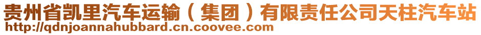 貴州省凱里汽車運(yùn)輸（集團(tuán)）有限責(zé)任公司天柱汽車站