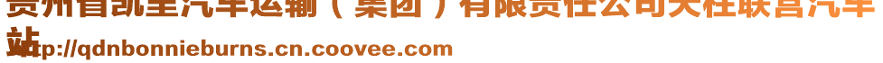 貴州省凱里汽車運輸（集團）有限責任公司天柱聯(lián)營汽車
站