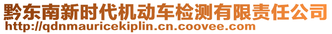 黔東南新時代機動車檢測有限責任公司