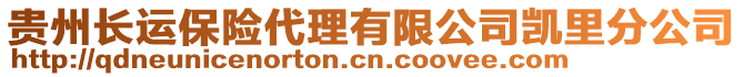 貴州長運保險代理有限公司凱里分公司