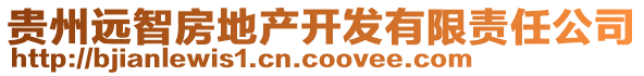 貴州遠(yuǎn)智房地產(chǎn)開發(fā)有限責(zé)任公司