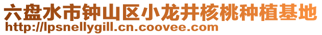 六盤水市鐘山區小龍井核桃種植基地