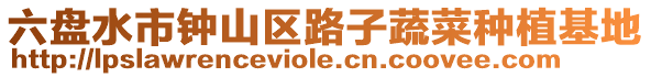 六盤水市鐘山區(qū)路子蔬菜種植基地