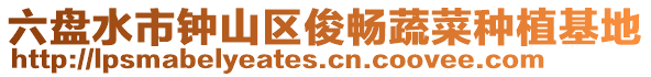 六盤(pán)水市鐘山區(qū)俊暢蔬菜種植基地