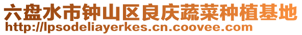 六盤水市鐘山區良慶蔬菜種植基地