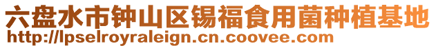 六盤(pán)水市鐘山區(qū)錫福食用菌種植基地