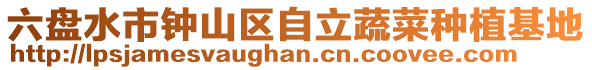 六盤水市鐘山區自立蔬菜種植基地