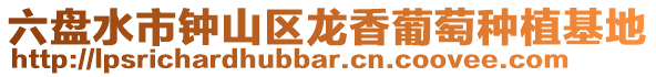 六盤水市鐘山區龍香葡萄種植基地