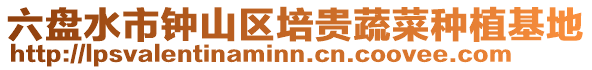 六盤水市鐘山區培貴蔬菜種植基地