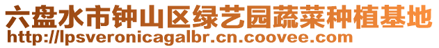 六盤水市鐘山區(qū)綠藝園蔬菜種植基地