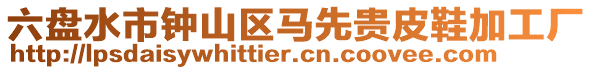 六盤水市鐘山區(qū)馬先貴皮鞋加工廠