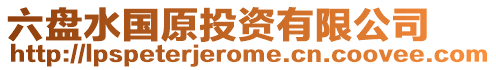 六盤(pán)水國(guó)原投資有限公司