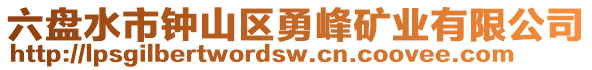 六盤水市鐘山區(qū)勇峰礦業(yè)有限公司