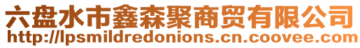 六盤水市鑫森聚商貿有限公司