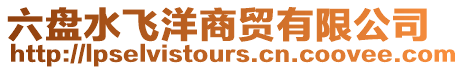 六盤水飛洋商貿(mào)有限公司