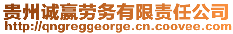 貴州誠贏勞務有限責任公司