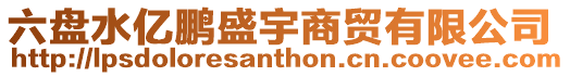 六盤水億鵬盛宇商貿(mào)有限公司