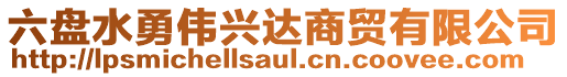 六盤水勇偉興達商貿(mào)有限公司