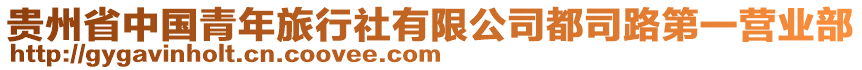 貴州省中國青年旅行社有限公司都司路第一營業(yè)部