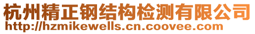 杭州精正鋼結(jié)構(gòu)檢測(cè)有限公司